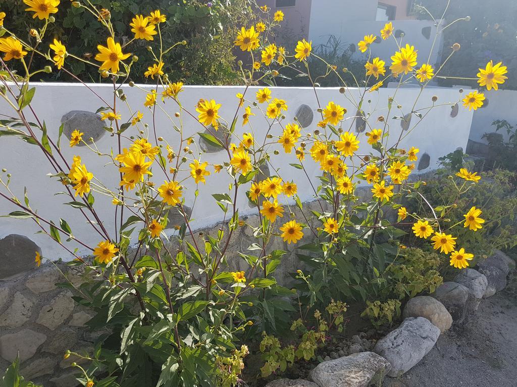 Melina'S Apartments Kalavárda Dış mekan fotoğraf