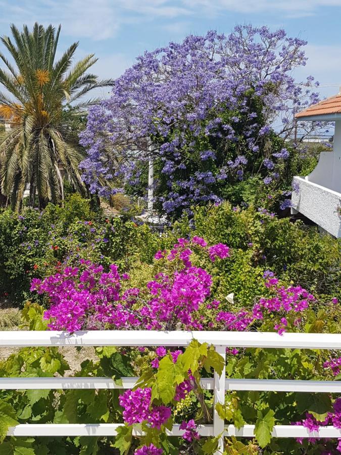 Melina'S Apartments Kalavárda Dış mekan fotoğraf